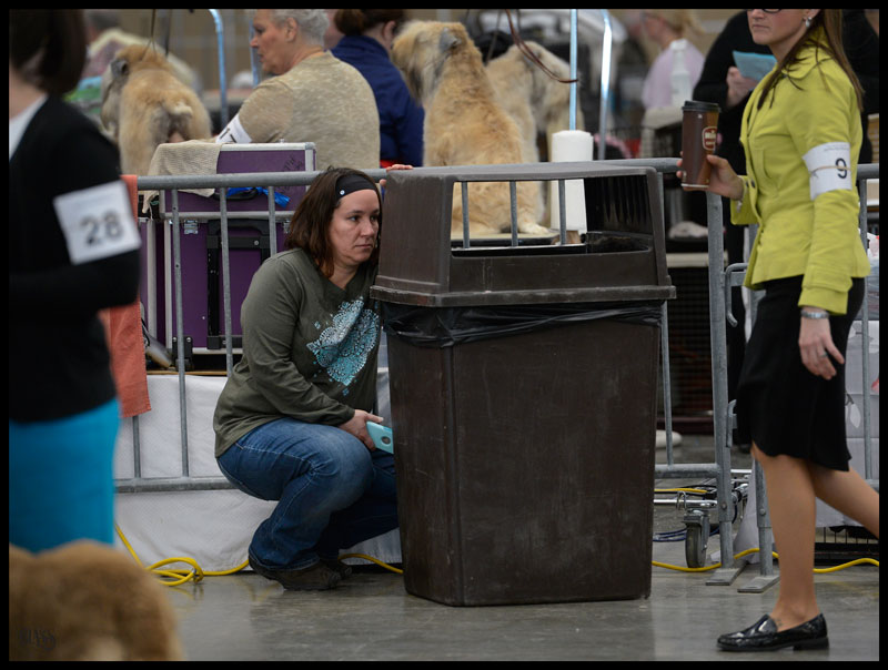 Diane Pachella Nelson hides behind a trash can so her dog Bentley won't see her. See, all the action isn't in the ring.