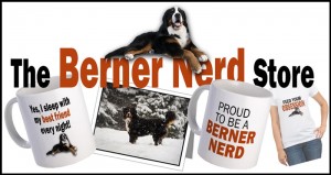 The Berner Nerd Store